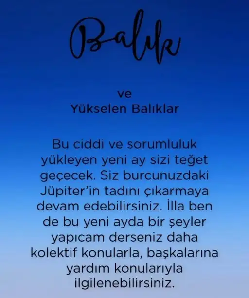 kova 14n.webp