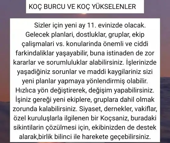 kova 50 (1)1.webp