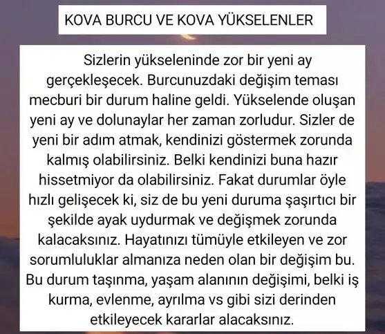kova 50 (12).webp