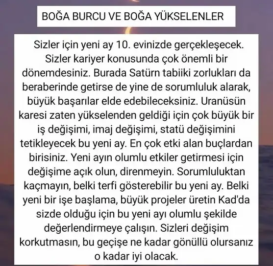 kova 50 (2).webp