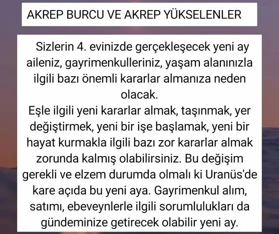kova 50 (8).webp
