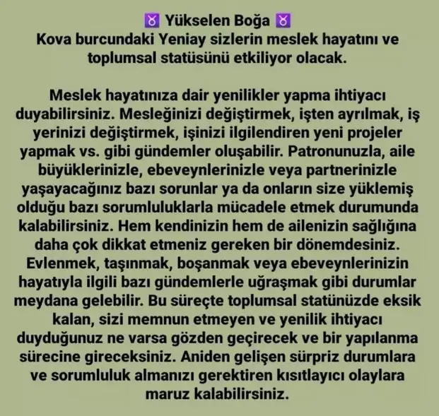 kova 6 (3).webp