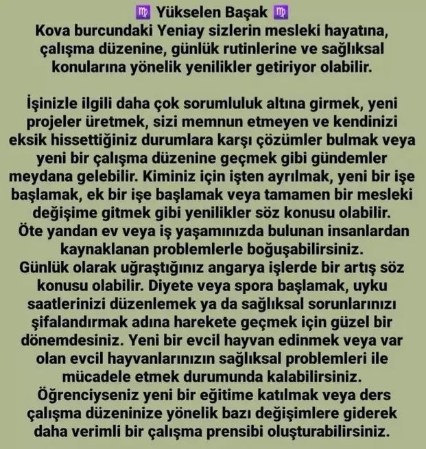 kova 6 (7).webp