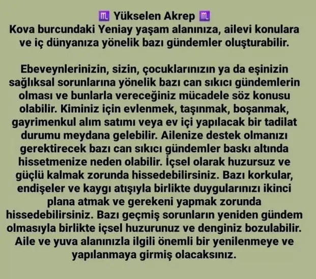 kova 6 (9).webp