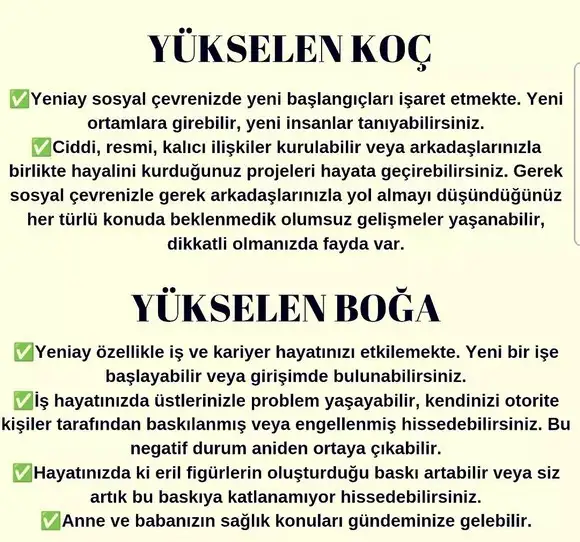 kova 61 (2).webp