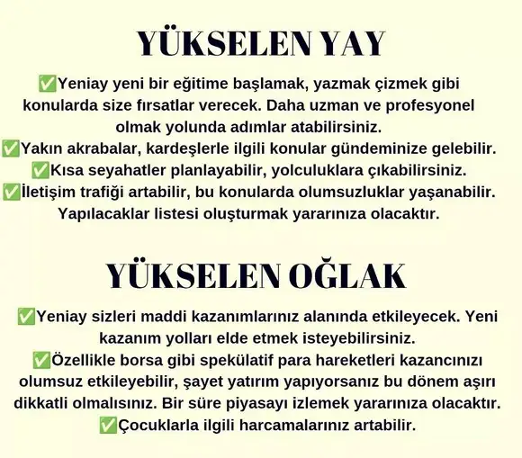 kova 61 (6).webp