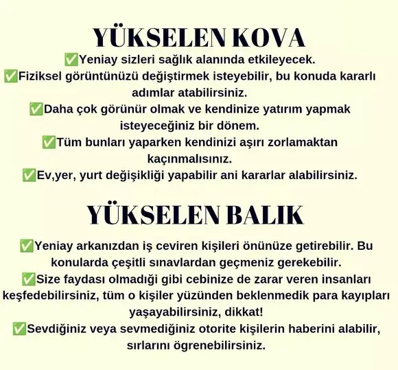 kova 61 (7).webp