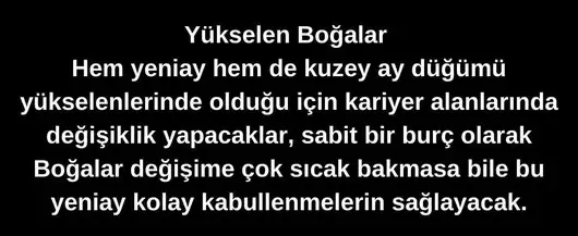 kova 62 (3).webp