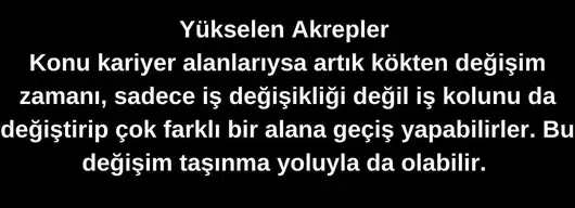 kova 62 (9).webp