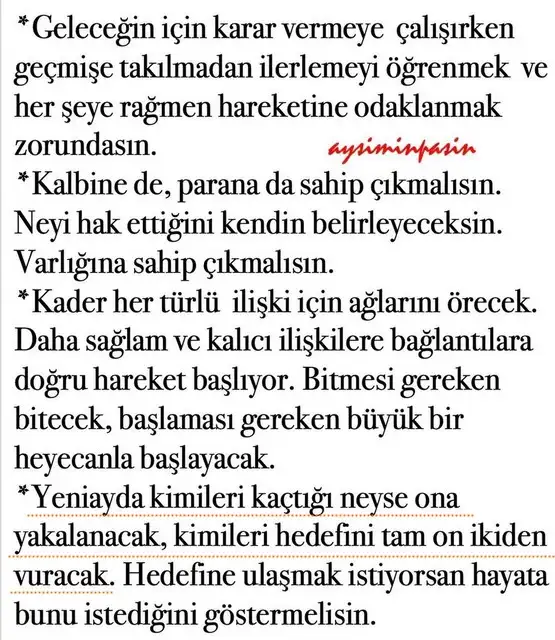 kova 7 (5).webp