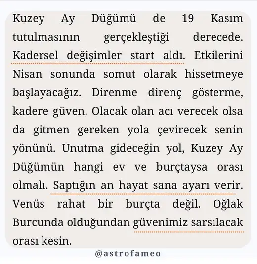 kova 8 (5).webp