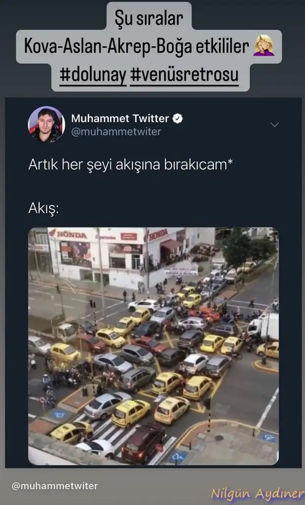 kova ven ret.webp