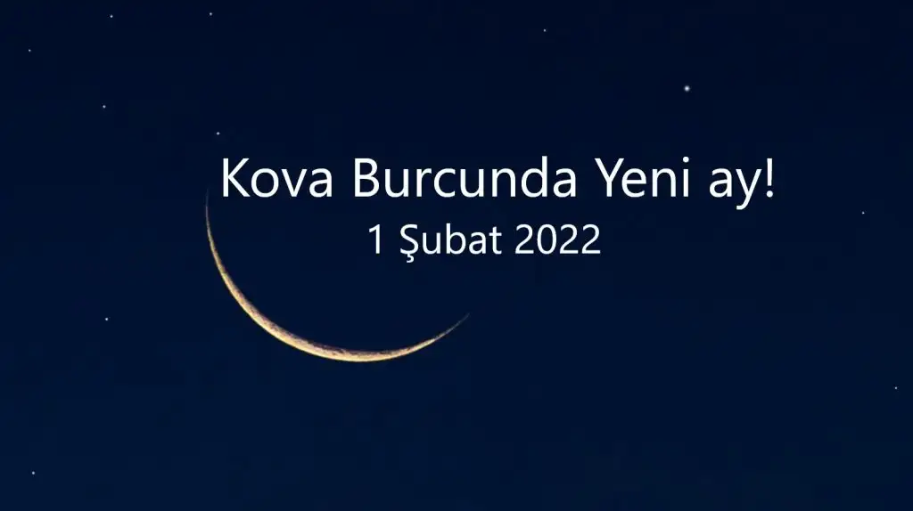 kova.webp