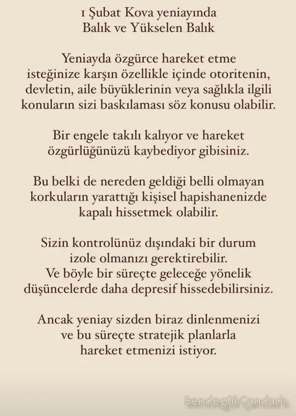 kova yeniayı 1 (12).webp