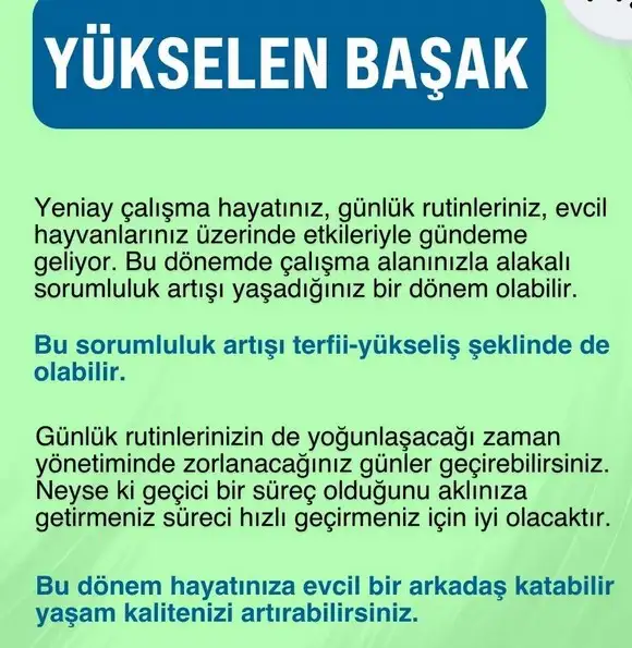 kova yeniayı 1 (8).webp