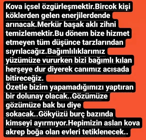 kova0 (5).webp