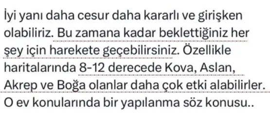 kova01 (2).webp