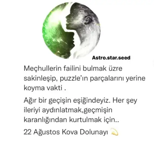 kova1 (1).webp