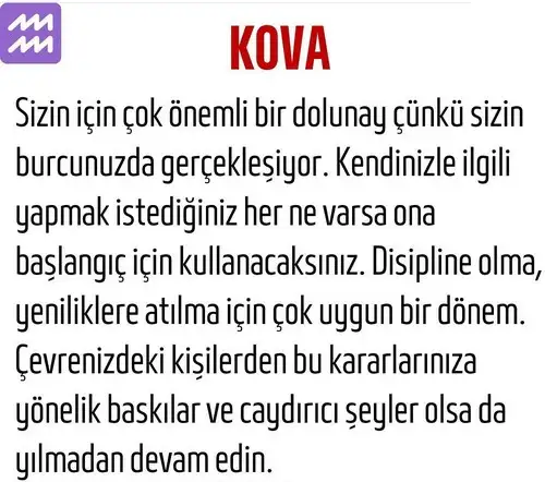 kova1 (12).webp