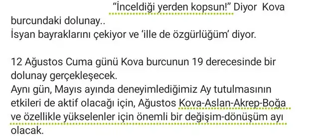 kova1 (2).webp