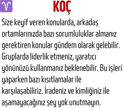 kova1 (2).webp