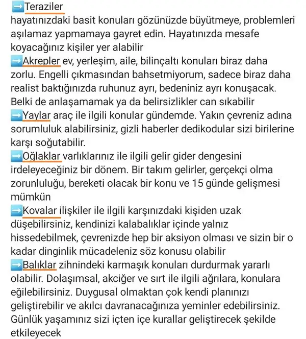 kova1 (3).webp