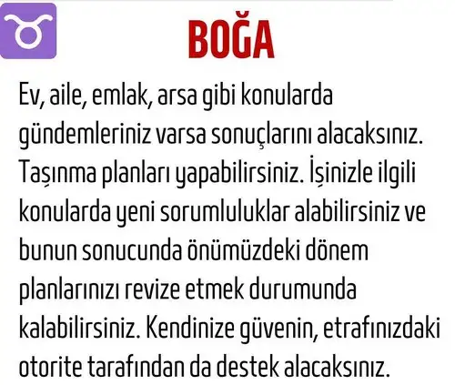 kova1 (3).webp