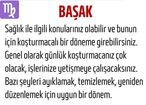 kova1 (7).webp