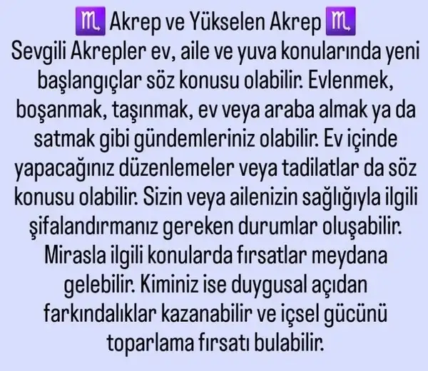 kova1 (8).webp