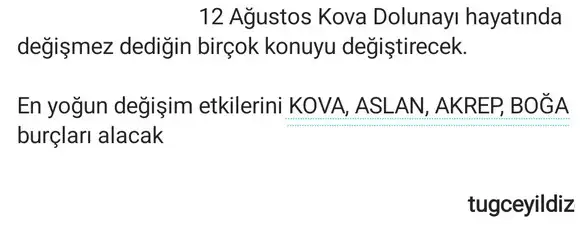 kova1.webp