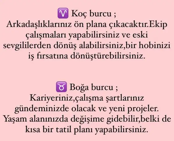 kova10 (2).webp