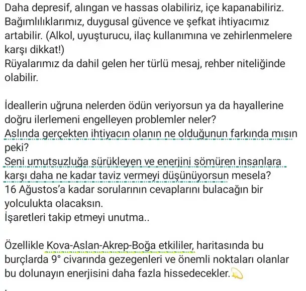 kova11 (2).webp