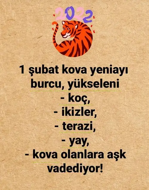 kova12 (1).webp