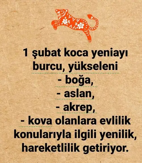 kova12 (2).webp