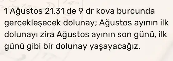 kova12 (2).webp