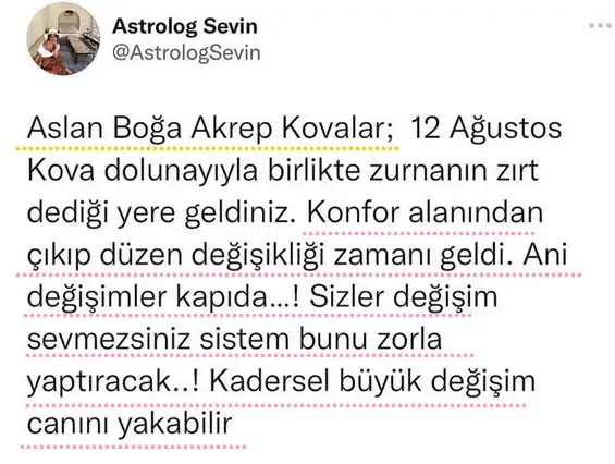 kova13 (1).webp