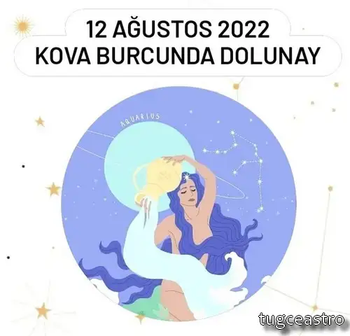 kova13 (1).webp