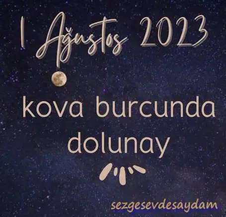 kova13 (1).webp