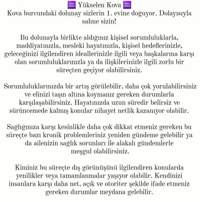 kova13 (13).webp