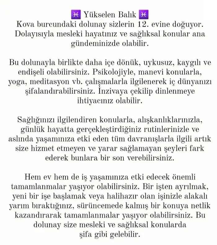 kova13 (14).webp