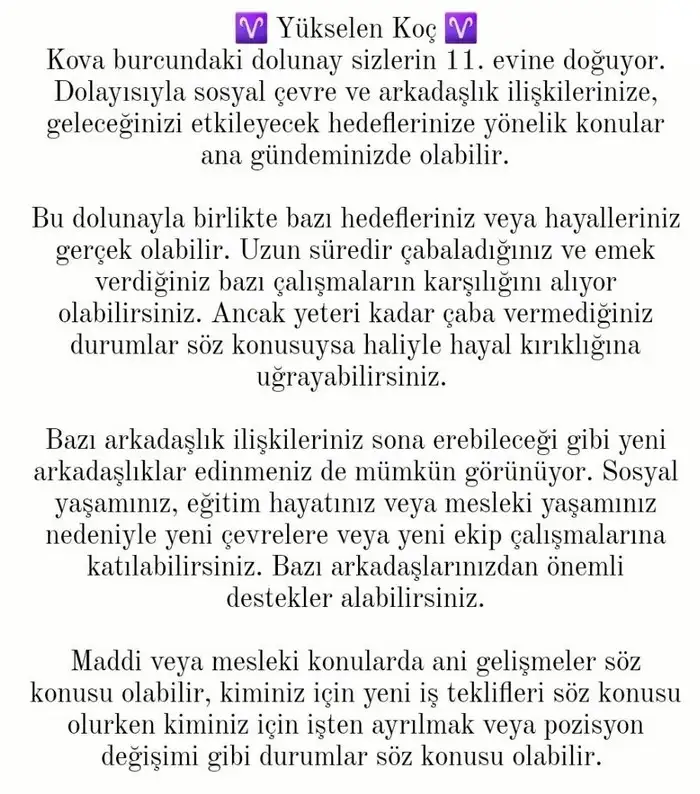 kova13 (2).webp