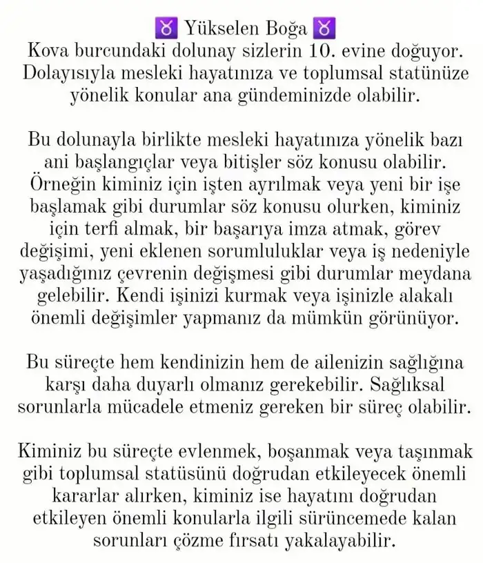 kova13 (3).webp