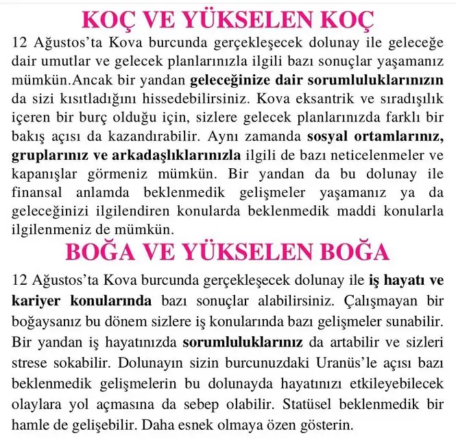kova14 (2).webp