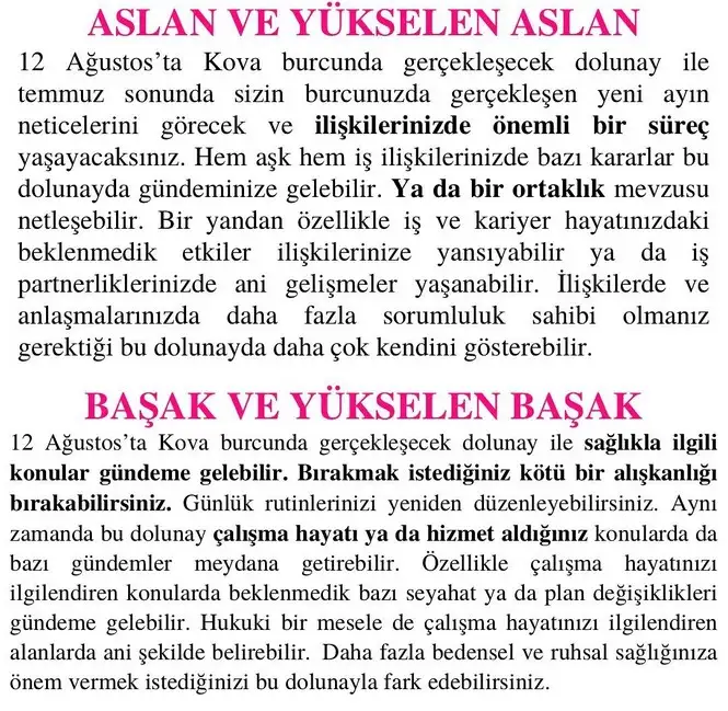 kova14 (4).webp