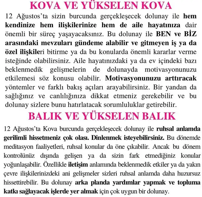 kova14 (7).webp