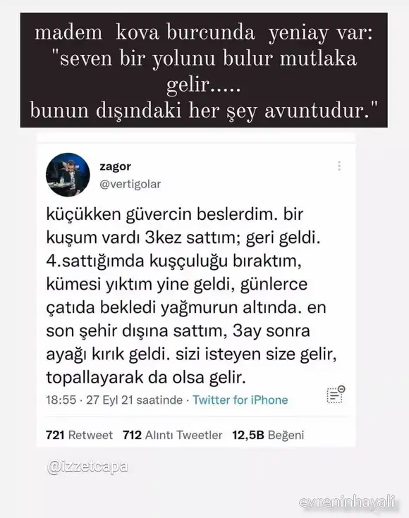 kova14.webp