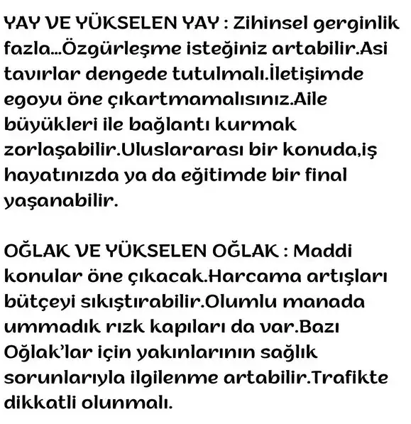 kova15 (10).webp