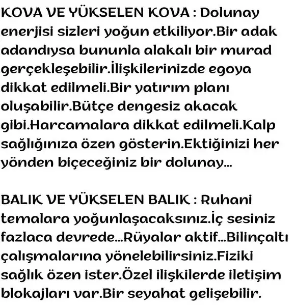 kova15 (11).webp