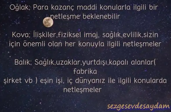 kova15 (4).webp