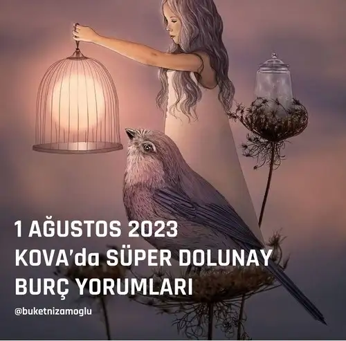 kova15 (5).webp